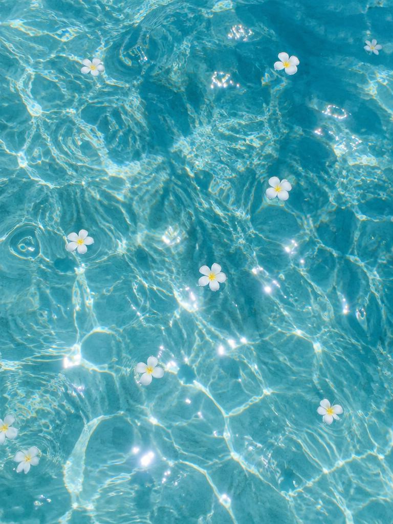 Sunlit water with floating blossoms